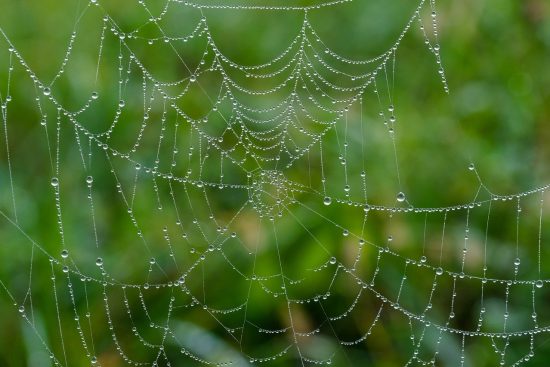 découvrez l'art du développement web : création de sites internet, applications interactives et solutions numériques sur mesure pour améliorer votre présence en ligne.
