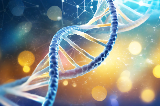 découvrez le monde fascinant de l'adn, le code génétique qui porte les instructions fondamentales de la vie. explorez son rôle dans l'hérédité, la biologie moléculaire et les avancées scientifiques qui transforment notre compréhension de la vie.
