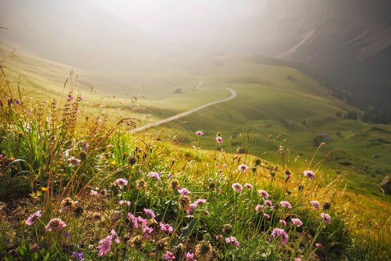 profitez d'un accès anticipé exclusif et découvrez les dernières innovations avant tout le monde. ne manquez pas l'occasion de tester et de donner votre avis sur nos nouveaux produits !