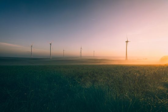 découvrez l'importance de l'environnement et son impact sur notre quotidien. explorez des solutions pour un mode de vie durable et respectueux de la planète.