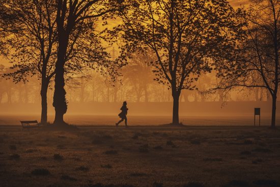 découvrez les bienfaits de la course à pied : amélioration de la santé cardiovasculaire, renforcement des muscles, gestion du poids, et réduction du stress. adoptez cette activité bénéfique pour votre corps et votre esprit.