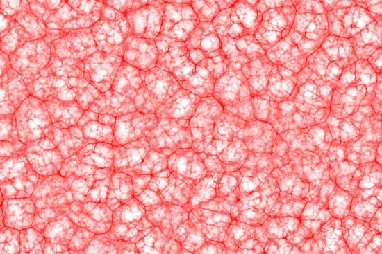 découvrez le pouvoir du système nerveux avec notre article sur les nerfs. comprenez leur rôle essentiel dans la transmission des informations, l'impact sur la santé et les innovations en neurosciences. plongez au cœur de cette fascinante exploration du corps humain.