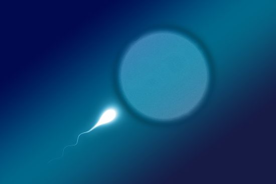 découvrez tout ce qu'il faut savoir sur les cellules souches : définition, types, applications médicales et avancées dans la recherche. comprenez leur potentiel pour la médecine régénérative et les traitements innovants.