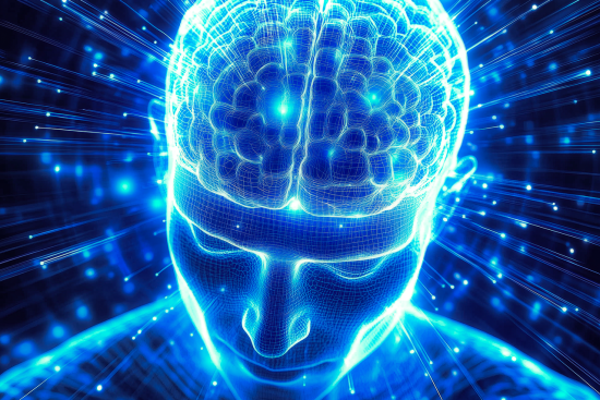 découvrez la neuroplasticité : le pouvoir du cerveau à s’adapter, apprendre et se réorganiser tout au long de la vie. explorez ses mécanismes et son impact sur la mémoire, l’apprentissage et la récupération après une lésion cérébrale.