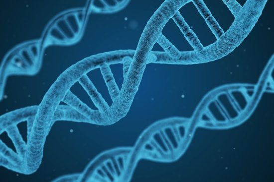 découvrez les principes, applications et enjeux de l’ingénierie génétique : une technologie révolutionnaire qui modifie l’adn pour améliorer la santé, l’agriculture et la recherche scientifique.
