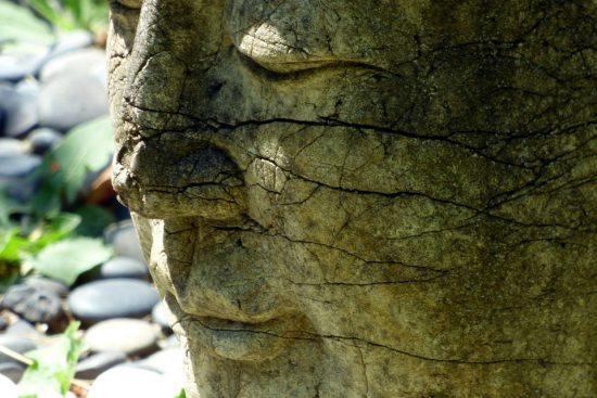 découvrez les bienfaits du tai chi : amélioration de la santé, réduction du stress, meilleure souplesse et équilibre, et bien plus. adoptez cette pratique douce pour votre bien-être au quotidien !