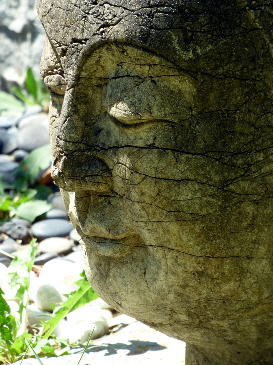 découvrez les bienfaits du tai chi : amélioration de la santé, réduction du stress, meilleure souplesse et équilibre, et bien plus. adoptez cette pratique douce pour votre bien-être au quotidien !