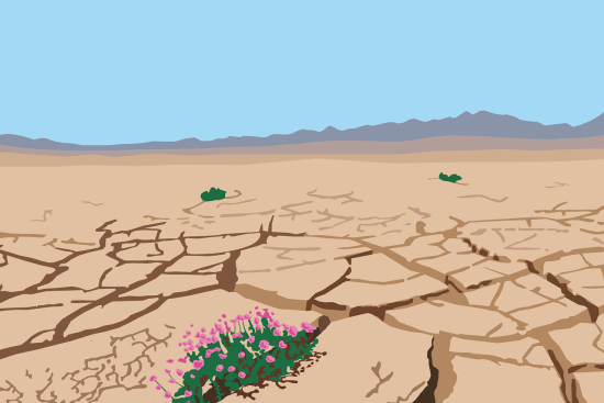 découvrez nos meilleurs conseils et astuces pour survivre en milieu hostile. apprenez les bases de la survie, du bivouac à la gestion de l’eau, et préparez-vous à affronter toutes les situations avec confiance.