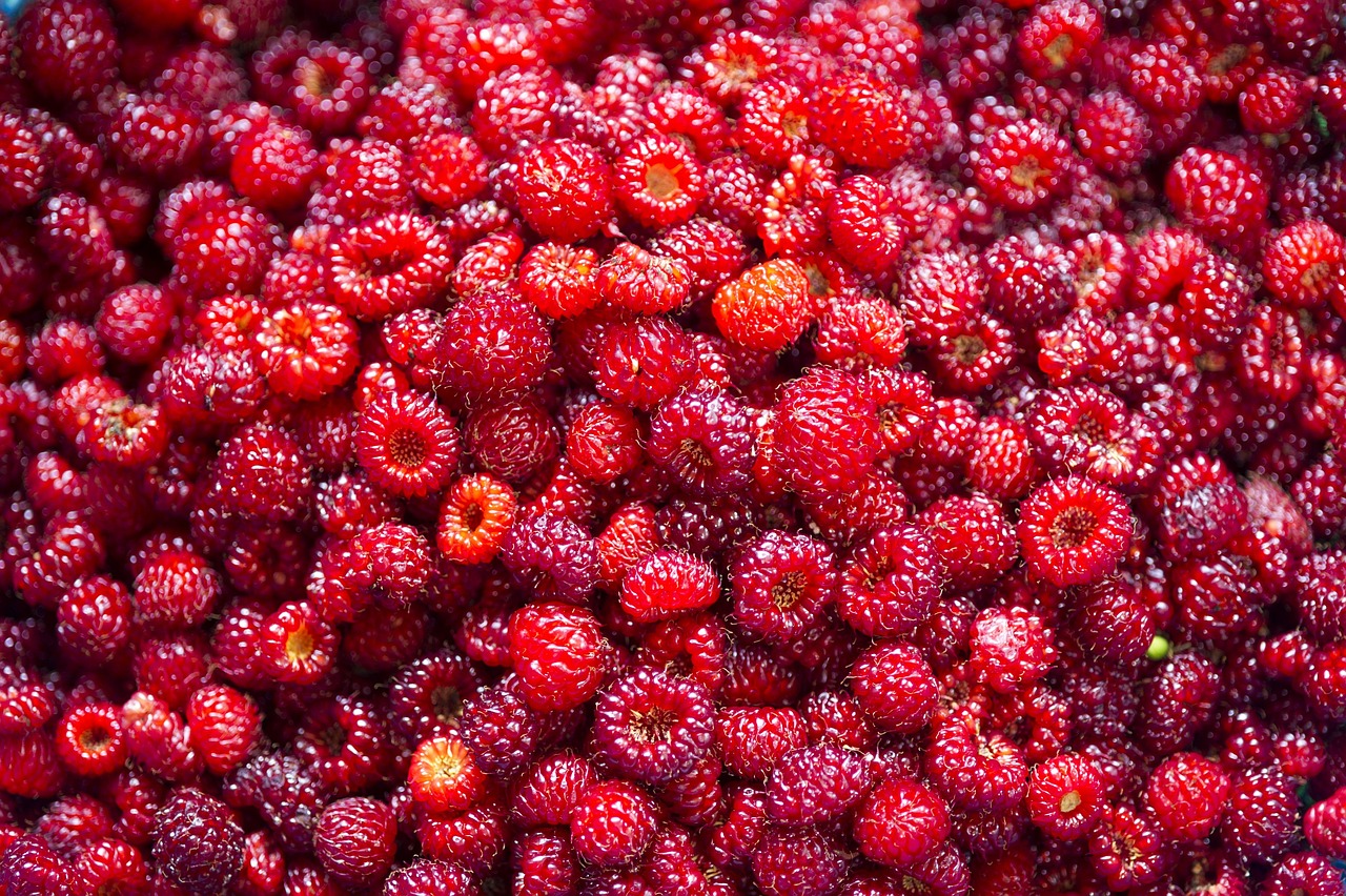 découvrez la gastronomie moléculaire, l'art culinaire qui allie science et innovation pour transformer les textures et saveurs des aliments.