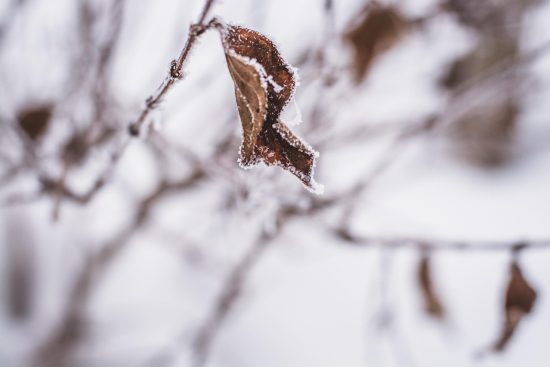 découvrez tout sur la glace sèche, ses utilisations, avantages et précautions pour un usage sûr et efficace.