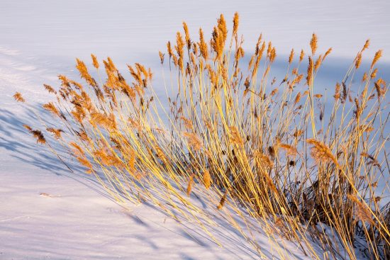 découvrez tout sur la glace sèche : propriétés, utilisations et conseils de sécurité pour manipuler ce dioxyde de carbone solide à -78°c.