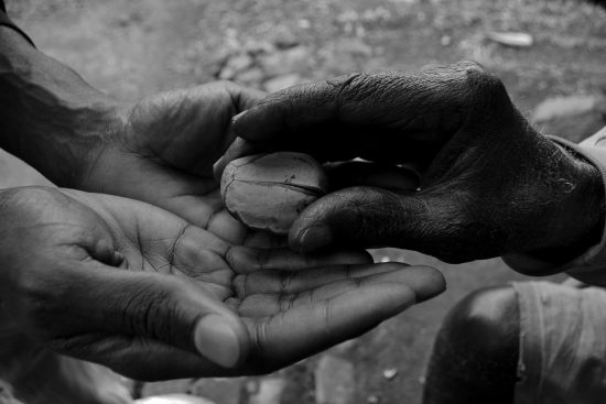 découvrez les bienfaits du kola : stimulation naturelle, amélioration de l'énergie et soutien digestif.