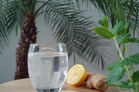 découvrez la ginger beer, une boisson pétillante au goût épicé de gingembre, idéale pour se rafraîchir et accompagner vos cocktails.