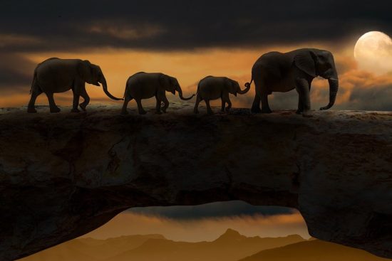 découvrez tout sur les ponts : histoire, architecture, types et leur importance cruciale dans les infrastructures modernes.