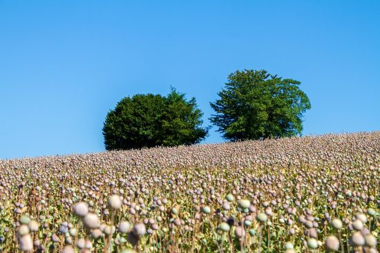 découvrez tout sur les dérivés financiers : définitions, types, usages et stratégies pour optimiser vos investissements.